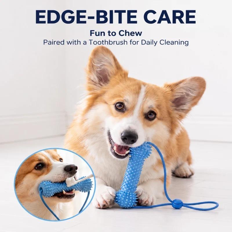 Dog Dental Chew Rope Toy – Daily Teeth Cleaning Squeaker - Image 7