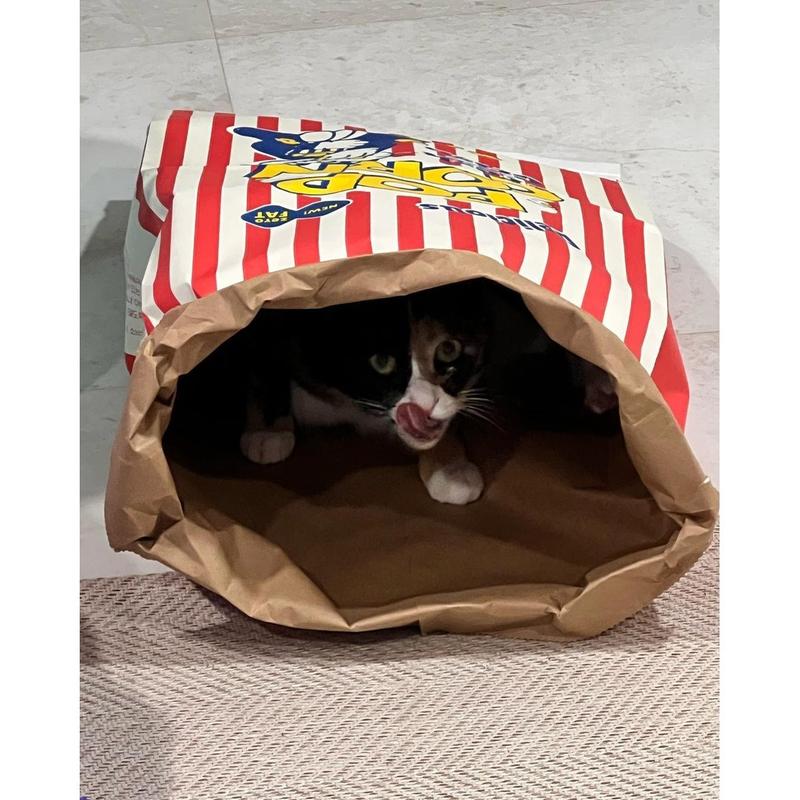 Popcorn Bag Cat Bed – Kraft Paper Style Nest - Image 7