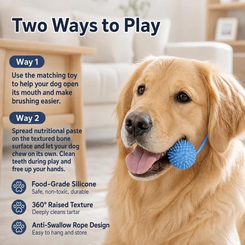 Dog Dental Chew Rope Toy – Daily Teeth Cleaning Squeaker - Image 2