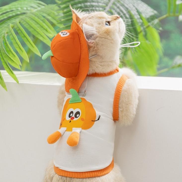 Breathable Pet Hat – Orange & Apple, S to L - Image 11