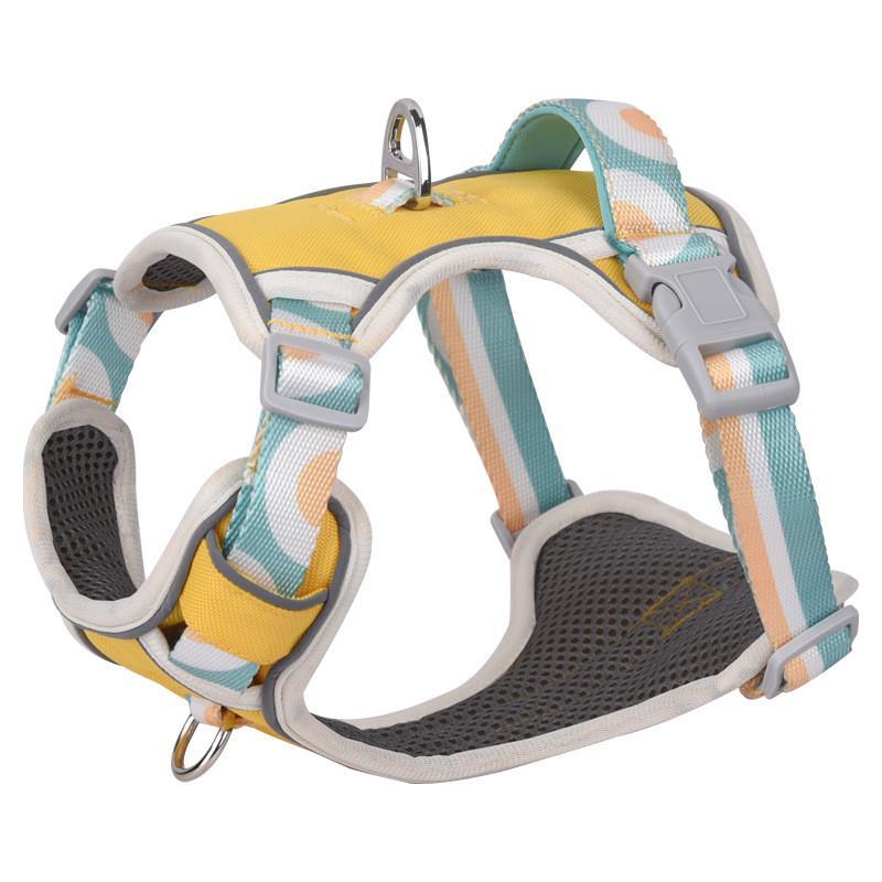 Adjustable Dog Harness & Lead – XXS to L, Measured Sizing