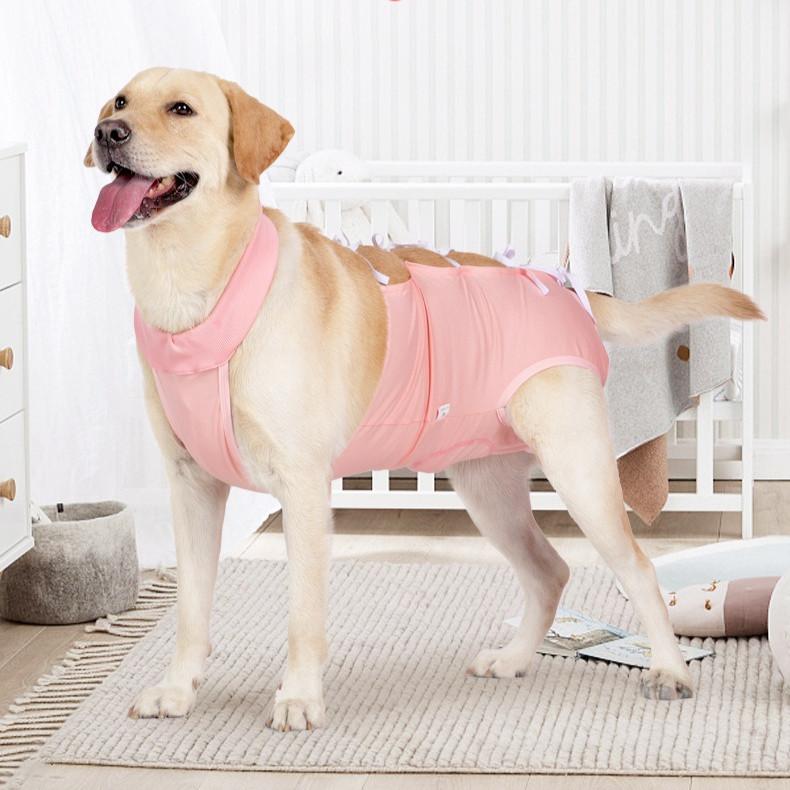 Post-Operative Dog Recovery Suit – Spay & Neuter Bodysuit