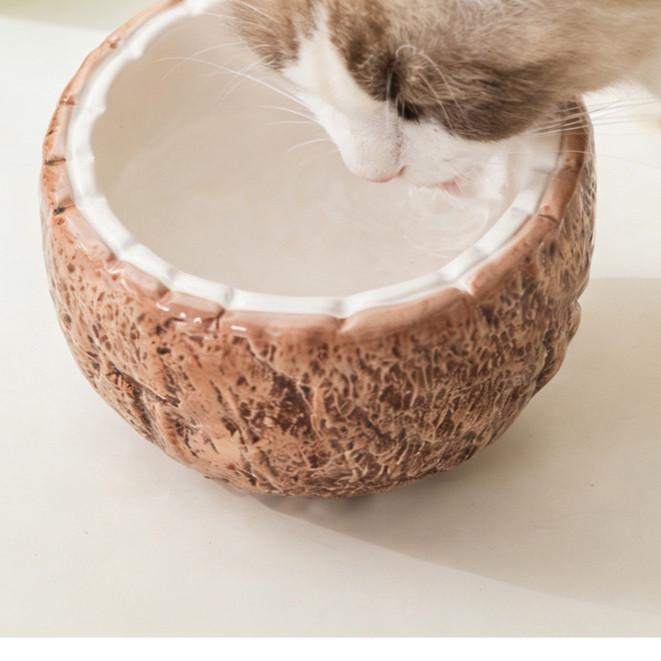 Half Coconut Ceramic Cat Bowl – Tall Spill-Proof Water Dish - Image 6