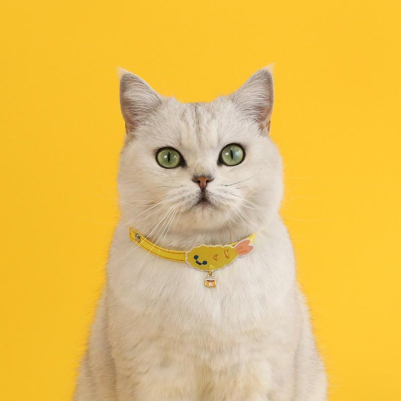 Japanese Embroidered Pet Collar – 18 Designs with Bell - Image 13