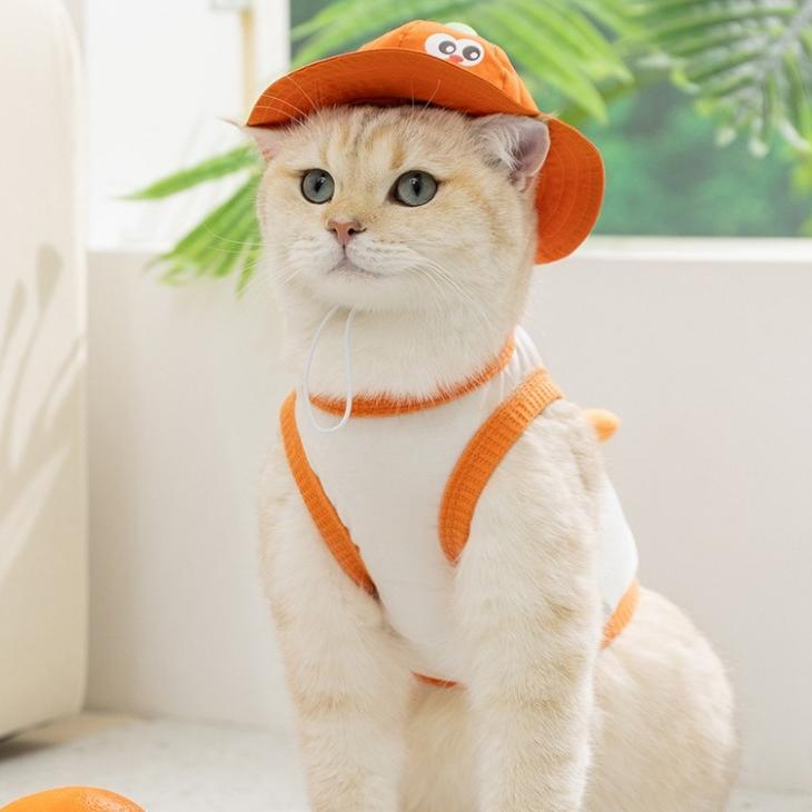 Breathable Pet Hat – Orange & Apple, S to L - Image 7