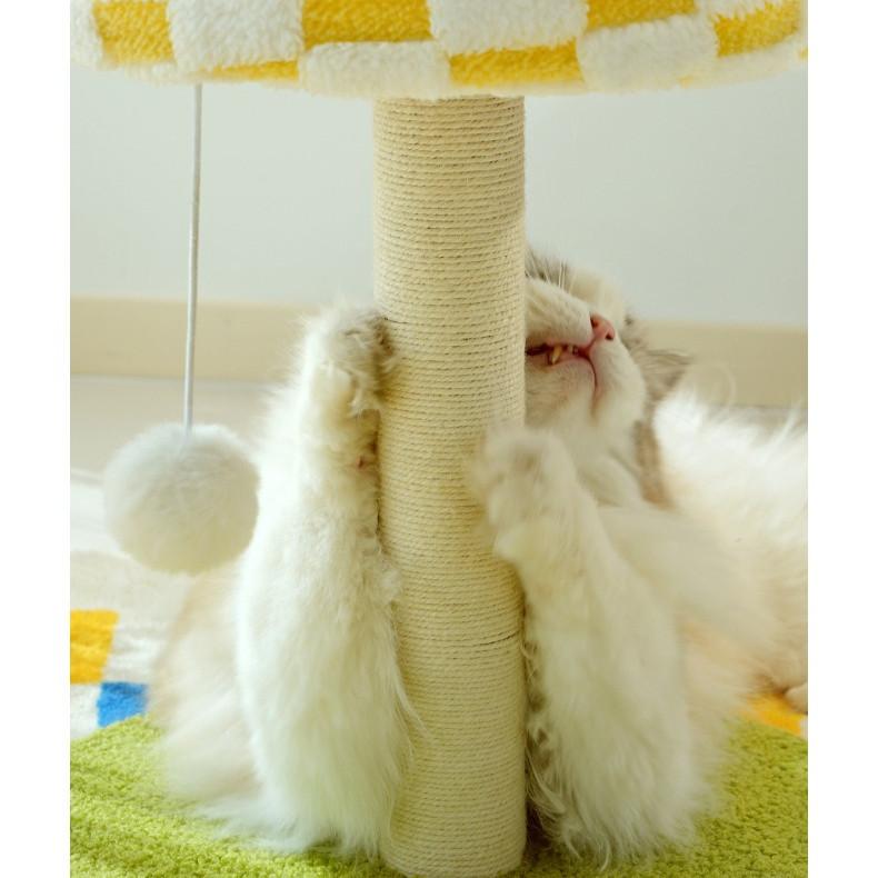 Table Lamp & Cedar Cat Scratching Post – Standing Board - Image 7