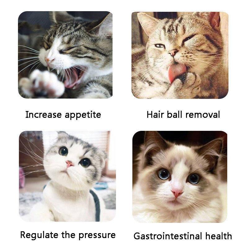 Catnip Chew Toys – 6 Designs, Teeth Cleaning - Image 8