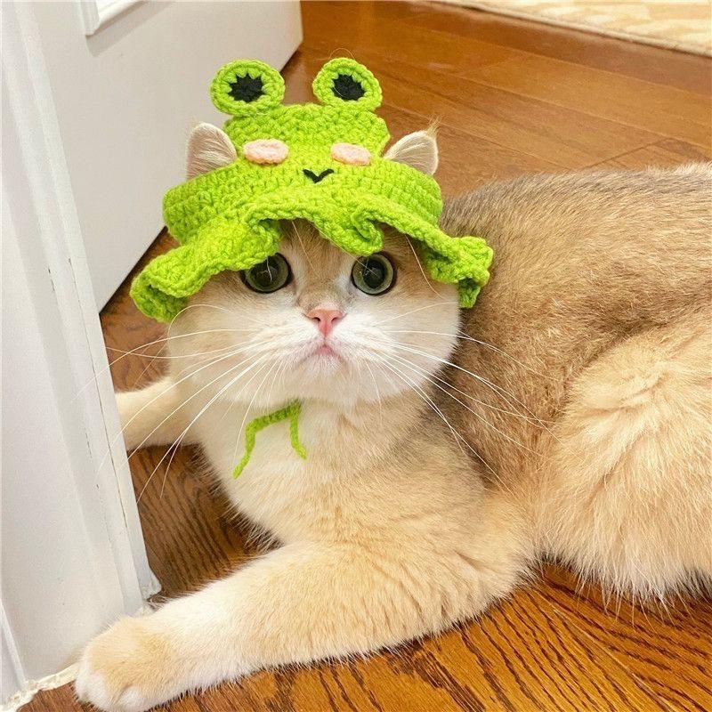 创意猫咪帽子 – 青蛙、鲷鱼烧、薯条与佛祖造型