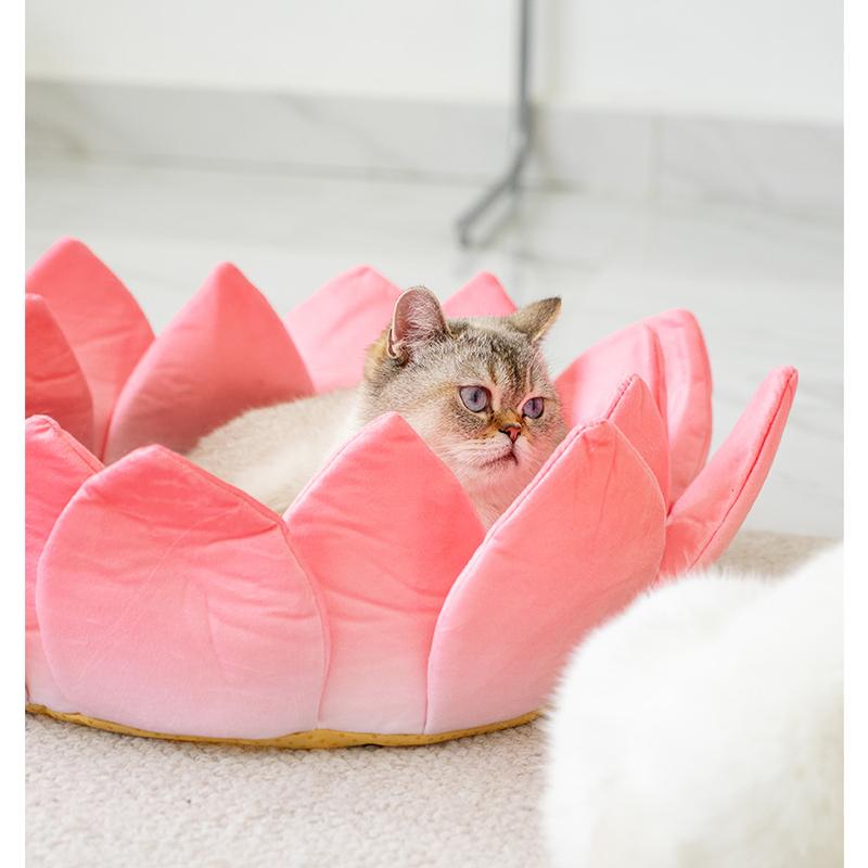 Lotus Throne Cat Bed – 40 cm & 60 cm, Optional Hat - Image 10