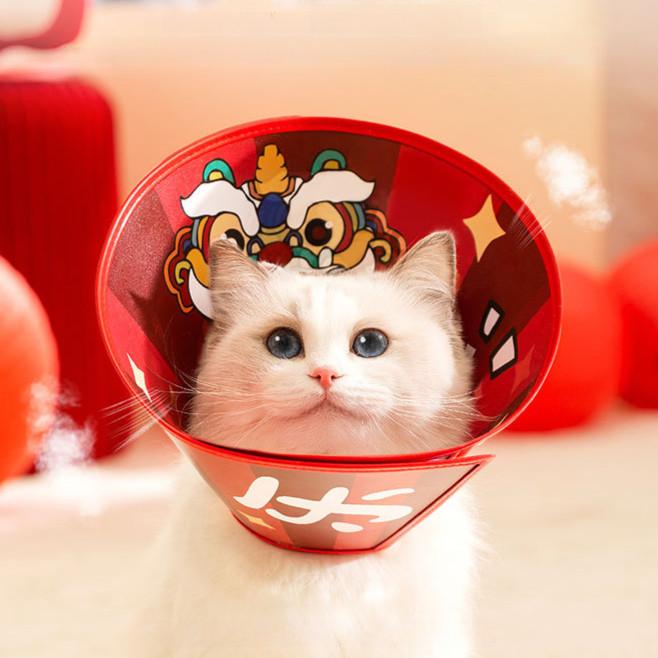 Chinese New Year Recovery Collar – Auspicious Red Cone