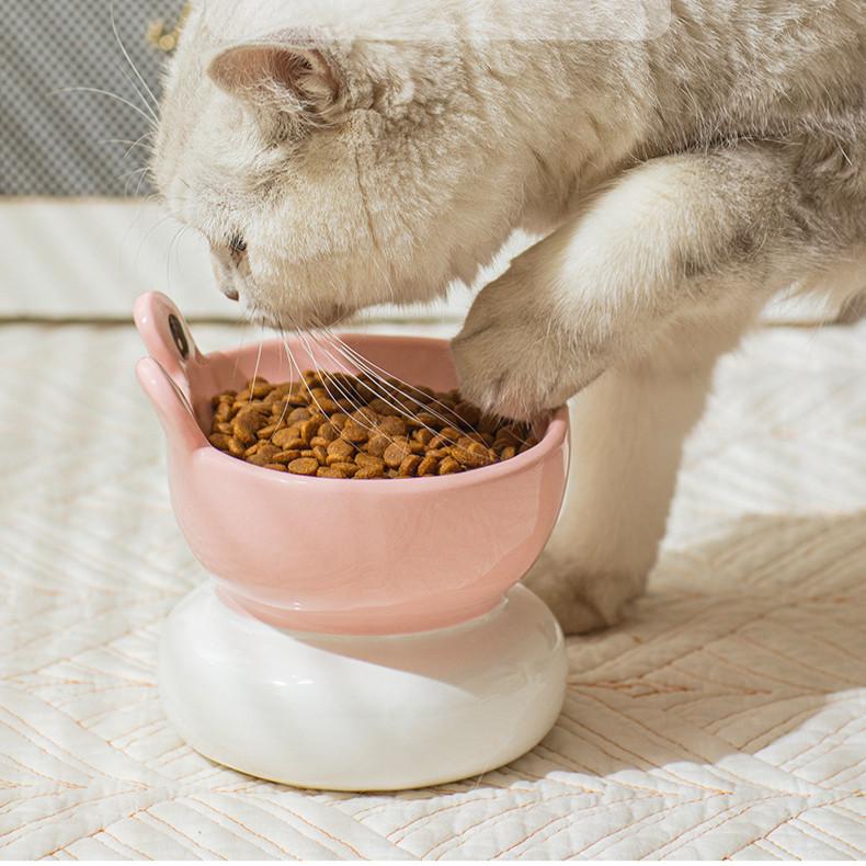 Frog Ceramic Cat Bowl – Large Anti-Knockover High Feet - Image 5