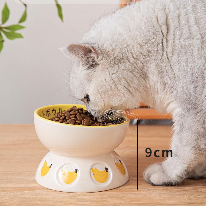 Apple Ceramic Cat Bowl – O & M Shapes, 3 Colours - Image 12