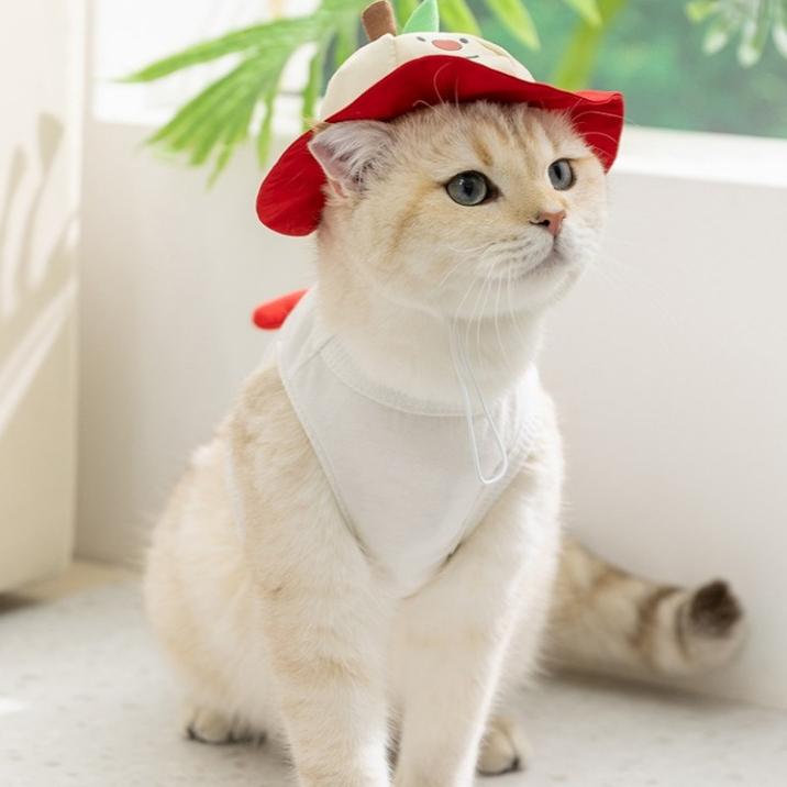 Breathable Pet Hat – Orange & Apple, S to L - Image 9