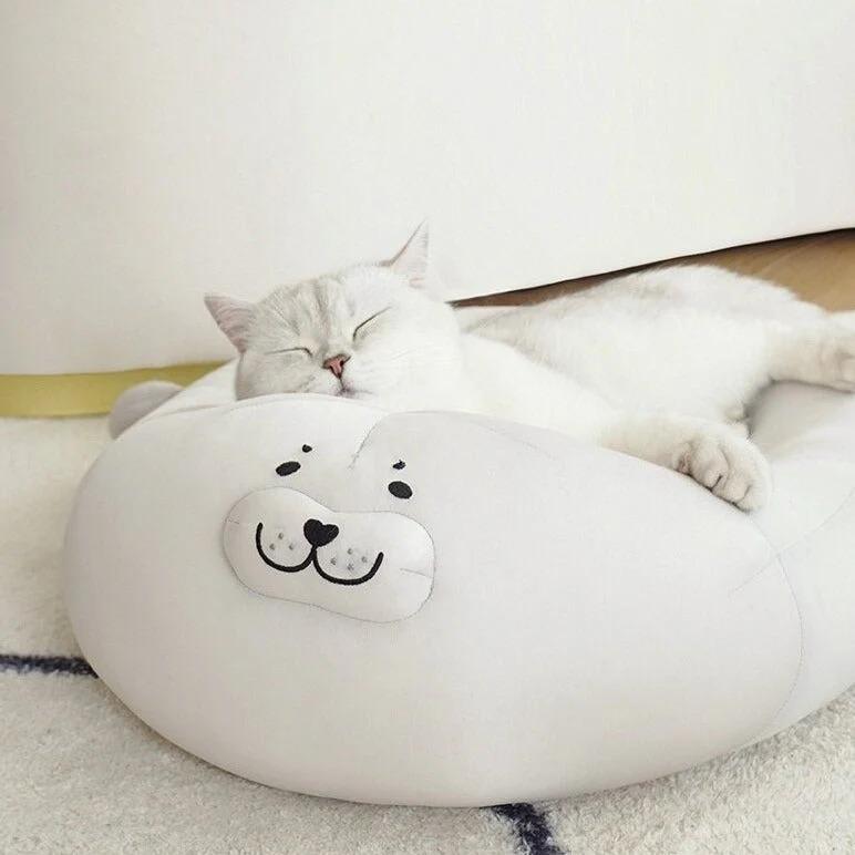 Zeze Seal & Fruit Cat Bed – Cooling Pad, 2 Sizes - Image 6