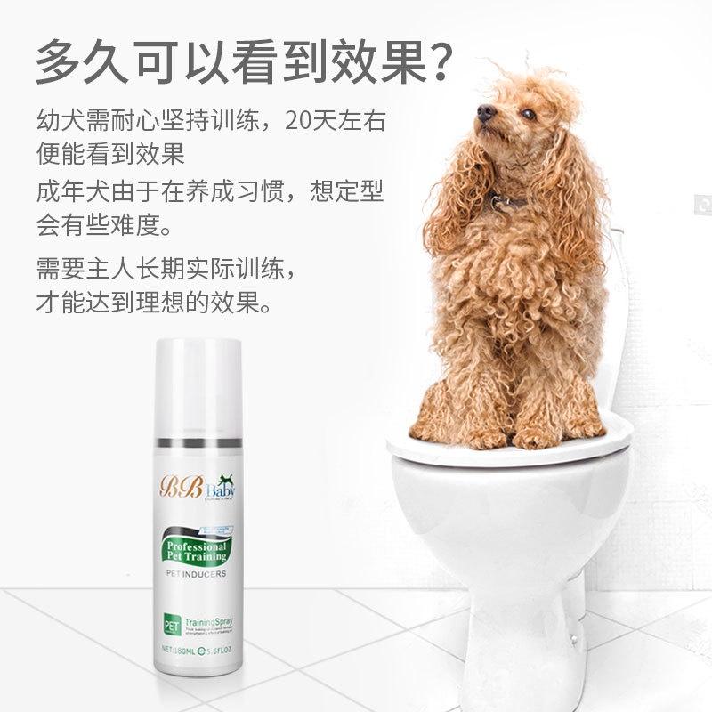 Dog Toilet Training Spray 160 ml – Fixed-Point Inducer - Image 3