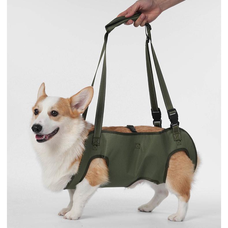 Harness Sokongan Anjing – Sling Pembawa Tua, Cedera & Pemulihan - Image 9