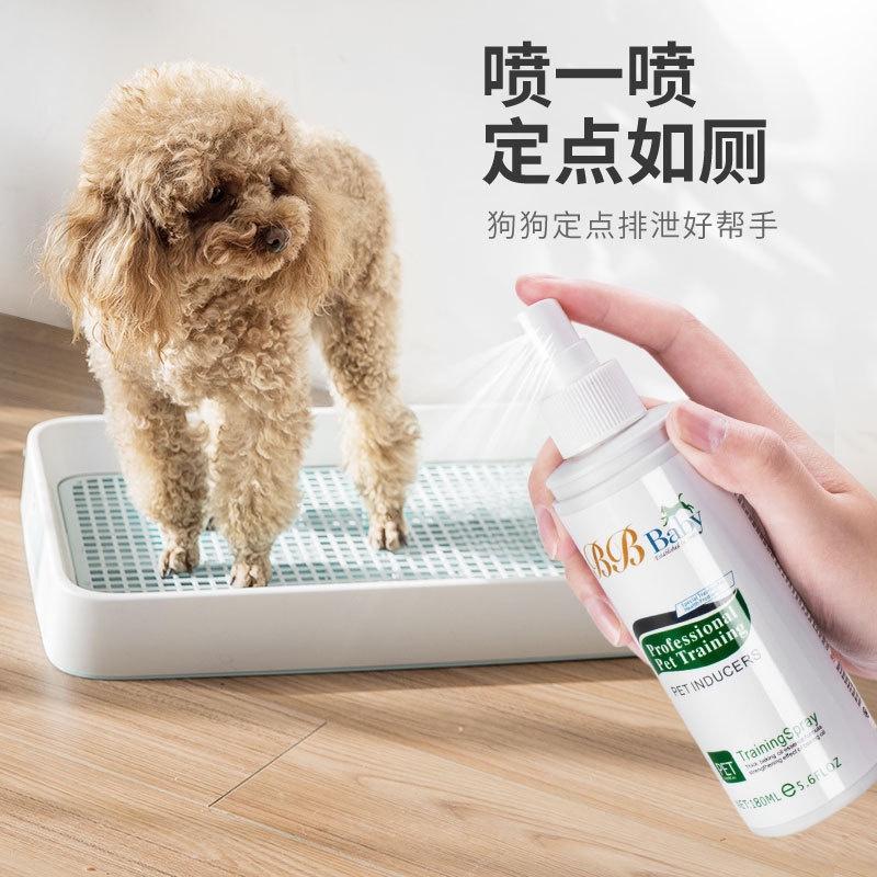 狗狗如厕训练喷雾 160毫升 – 定点诱导剂