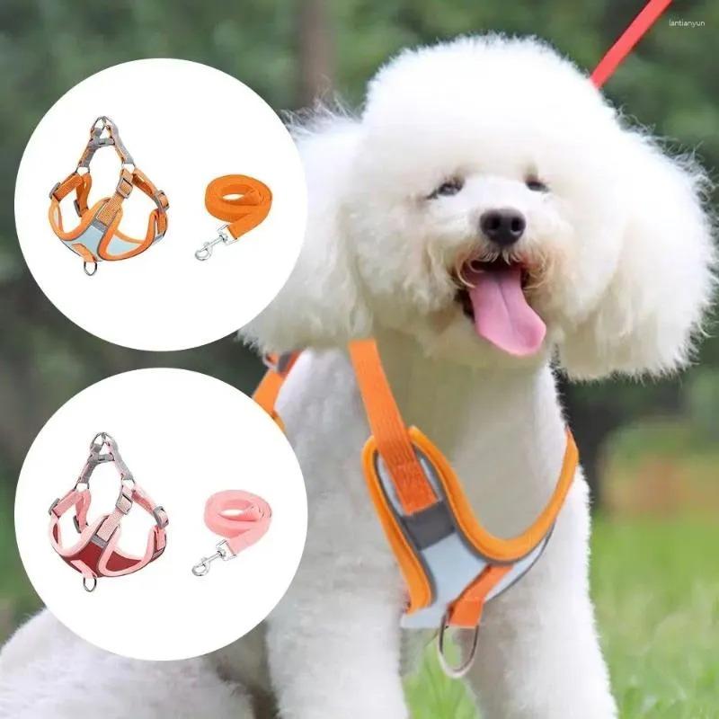 Harness Anjing & Kucing Reflektif dengan Tali – Kalis Terlucut - Image 8