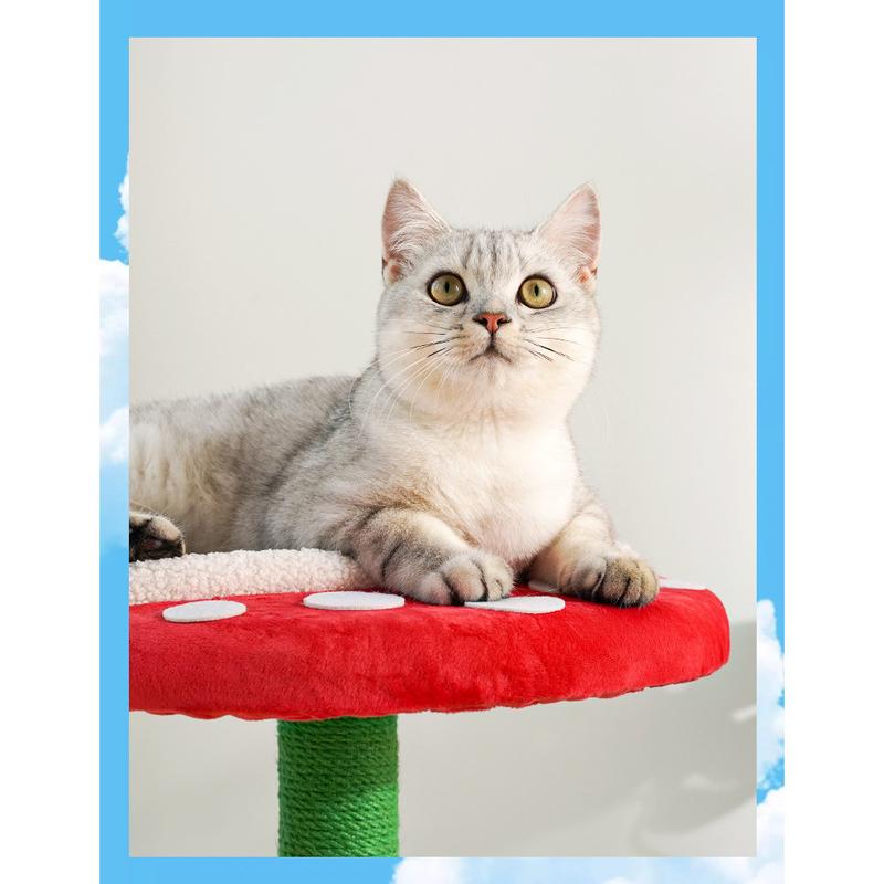 Pokok Kucing Pokok Piranha – Pencakar Sisal & Katil Persembunyian - Image 8