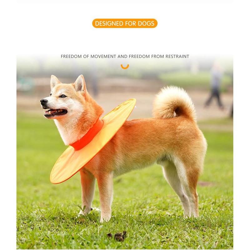 大型犬防舔恢复项圈 – 防水,颈围可达60厘米 - 图片 2