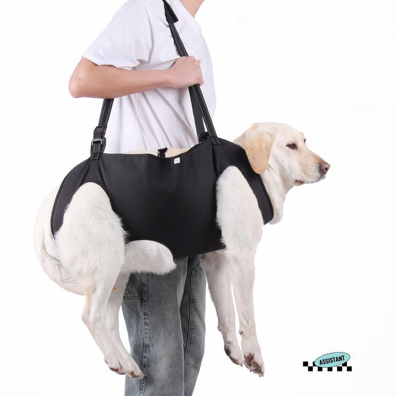 Harness Sokongan Anjing – Sling Pembawa Tua, Cedera & Pemulihan - Image 2