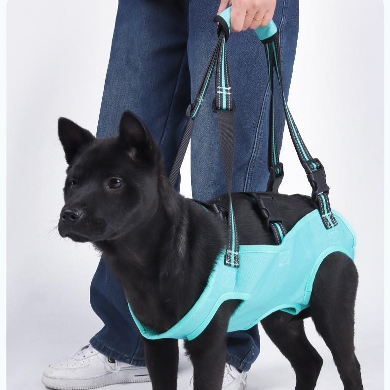 Harness Sokongan Anjing – Sling Pembawa Tua, Cedera & Pemulihan - Image 5