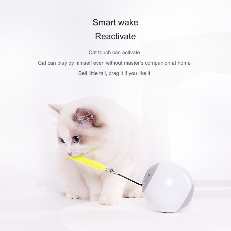 Mainan Kucing Bola Bergolek Pintar AIWO – Interaktif Automatik - Image 2