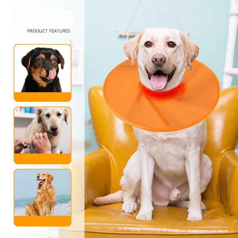 Kon Pemulihan Anjing Besar – Kalis Air, Leher Sehingga 60 cm - Image 6