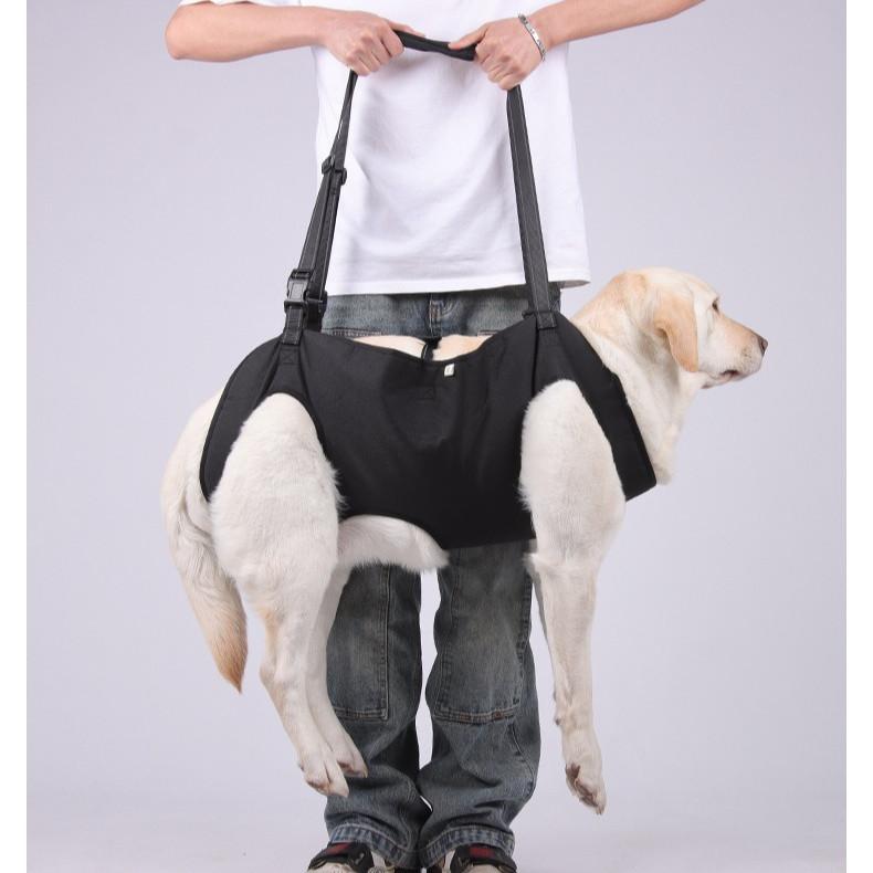 Harness Sokongan Anjing – Sling Pembawa Tua, Cedera & Pemulihan