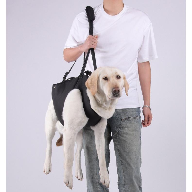 Harness Sokongan Anjing – Sling Pembawa Tua, Cedera & Pemulihan - Image 8