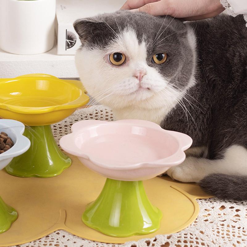 Mangkuk Kucing Seramik Bunga 148 – Bentuk G & M, 3 Warna - Image 9